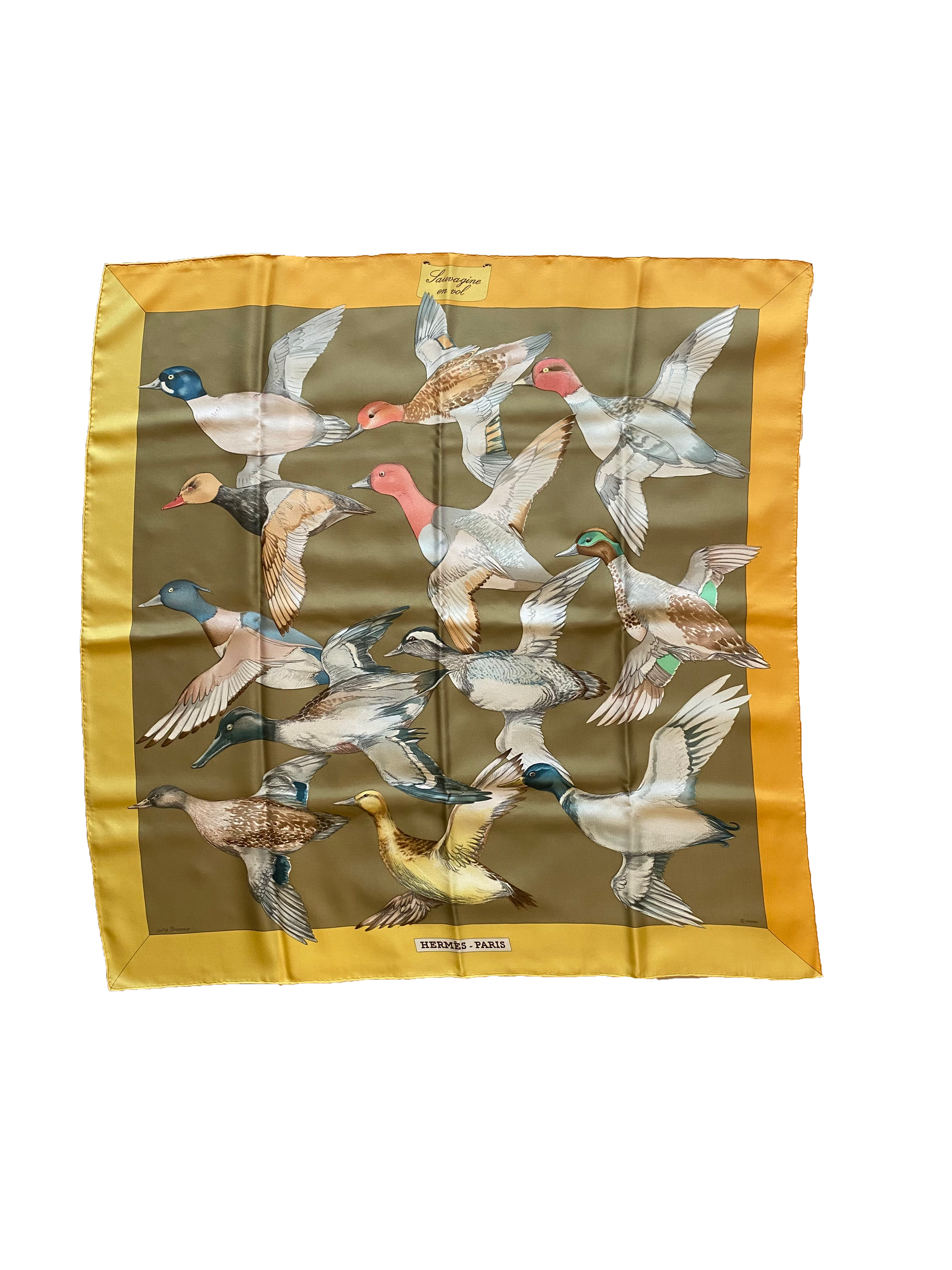 Sauvagines en Vol Silk Scarf